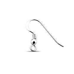 20mm Silver Finding Fish Hook Earrings