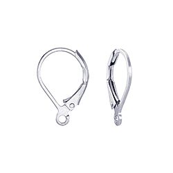 Silver Findings Lever Back Earrings